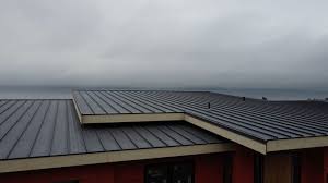 Best Green or Eco-Friendly Roofing Solutions  in Terryville, NY